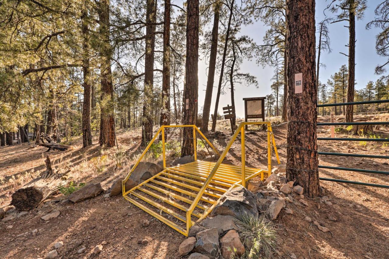 Munds Park Cabin With Poker Room And Wraparound Deck! Екстериор снимка